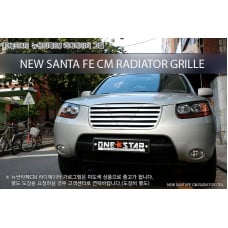 MORRIS RADIATOR GRILLE TYPE-1 HYUNDAI SANTA FE CM 2005-10
